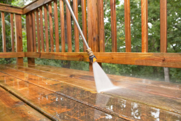Best Dumpster Area Cleaning  in Port Royal, SC